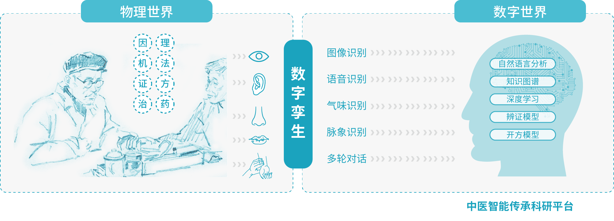 中医智能传承科研平台-中医智能传承-中医聪宝